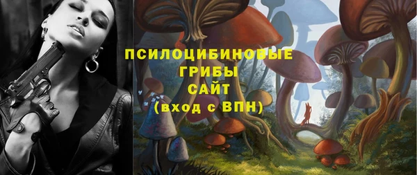 бошки Алзамай